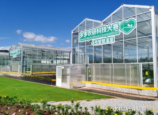 科技赋能农业，赛羚问鼎巅峰——第二届多多农研科技大赛决赛结果出炉