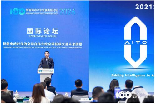 赛力斯康波 中国车企出海需秉持共赢思维，融入当地生态共谋发展